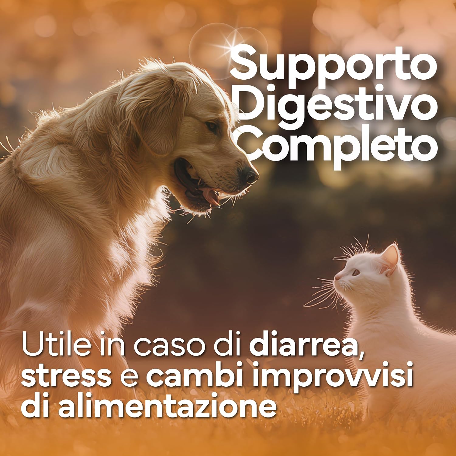 Thumbnail 6 de PROBIOTICI PER CANI DI ALTA QUALITÀ con Fermenti lattici: supporto digestivo per cani e gatti