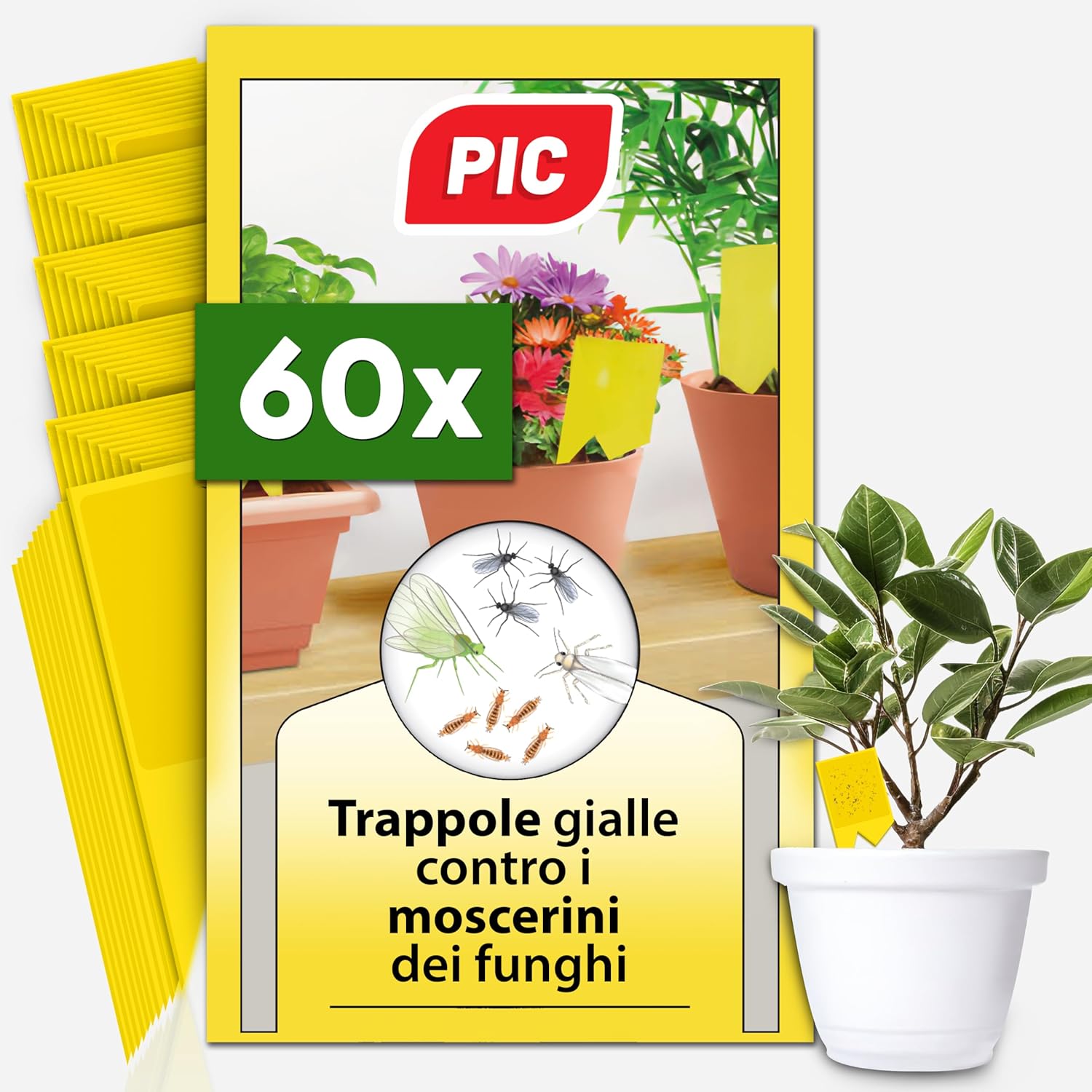 PIC Trappola Moscerini (60x) – Carta gialla adesiva doppia per moscerini e sciaraidi, fino a 6 mesi