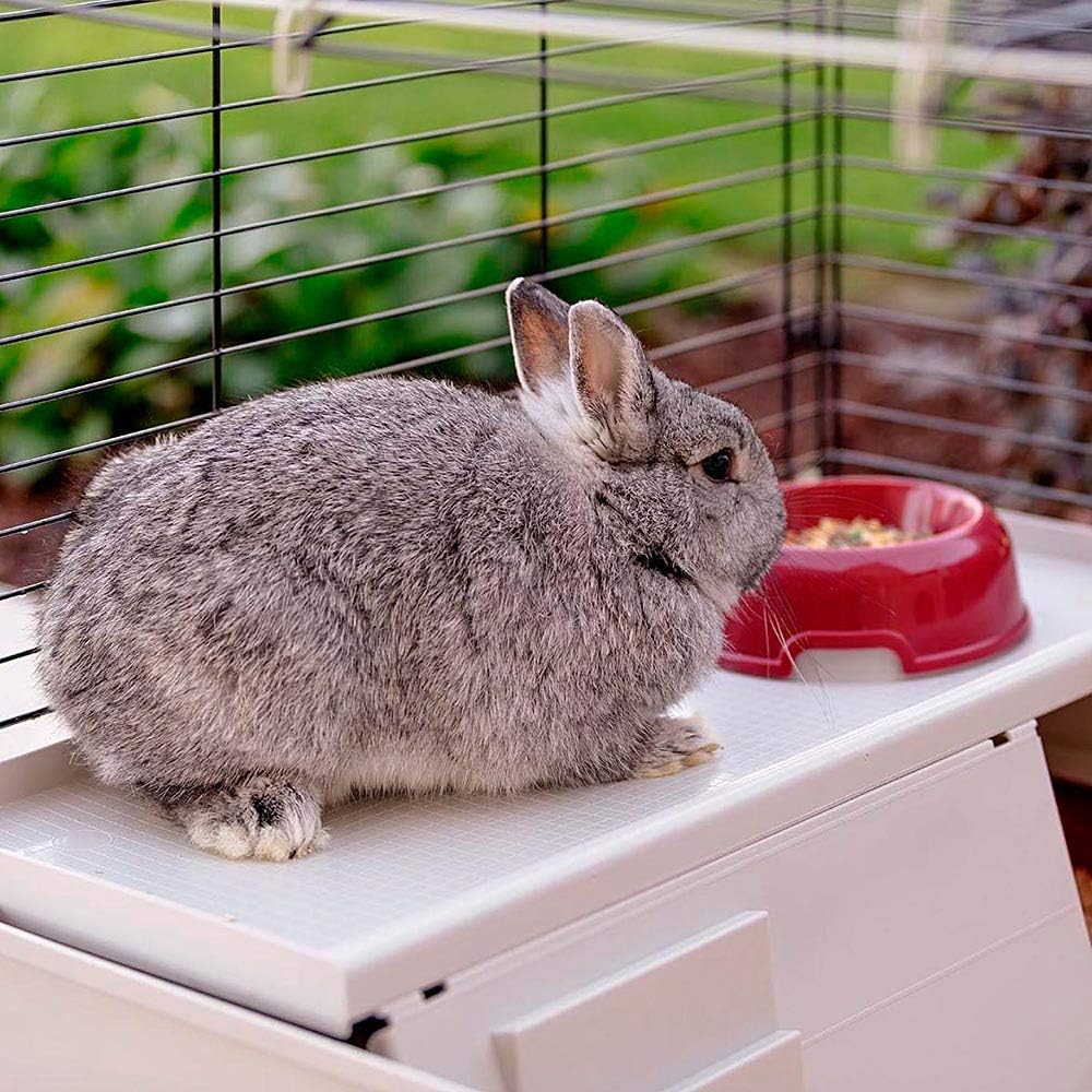 Thumbnail 4 de FERPLAST Krolik 140 Plus Meerschweinchenkäfig 🐰