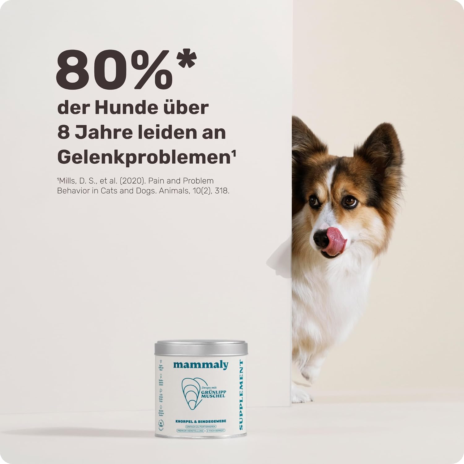 Detalle de Grünlippmuschel Gelenk-Snacks für Hunde von mammaly – ca. 200 Leckerlis (340 g)