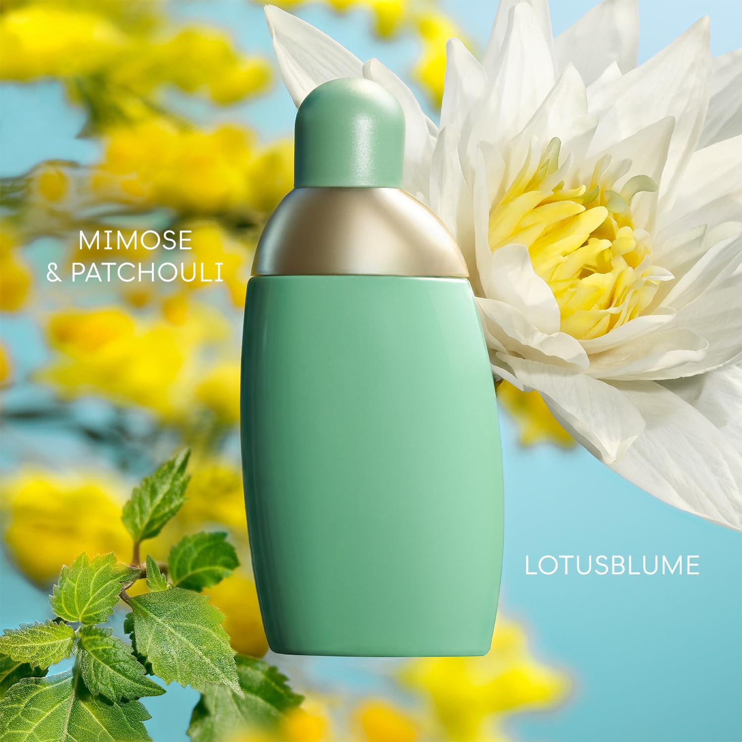 Thumbnail 1 de Cacharel Eden Damen Eau de Parfum – chypre-frisch mit Lotus, Mimosen- und Patchouli-Akkorden