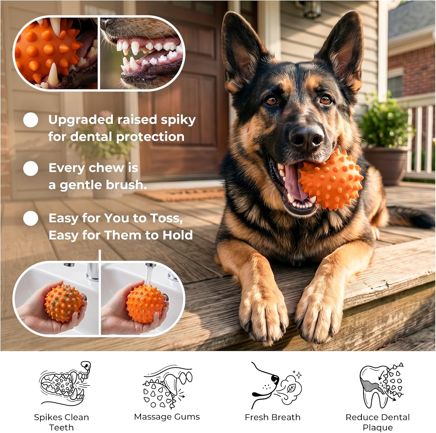Thumbnail 4 de Apasiri Peanut Flavor Dog Ball, 10mm Rubber, Squeaker, Orange