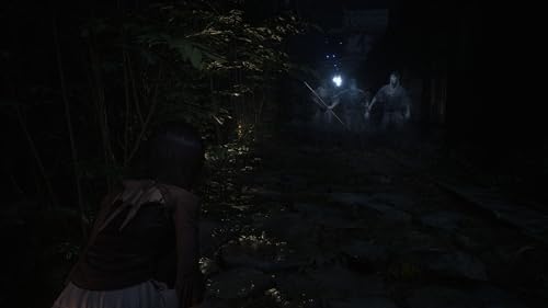 Thumbnail 1 de Fatal Frame II: Crimson Butterfly Remake — Bandai Namco