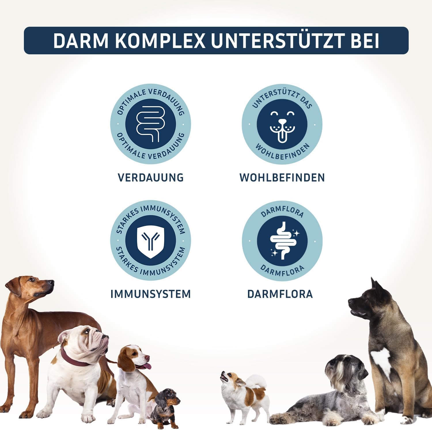 Detalle de PetFokus Darm Komplex für Hunde – Unterstützung der Verdauung, Entzündungshemmung und Gelenkgesundheit