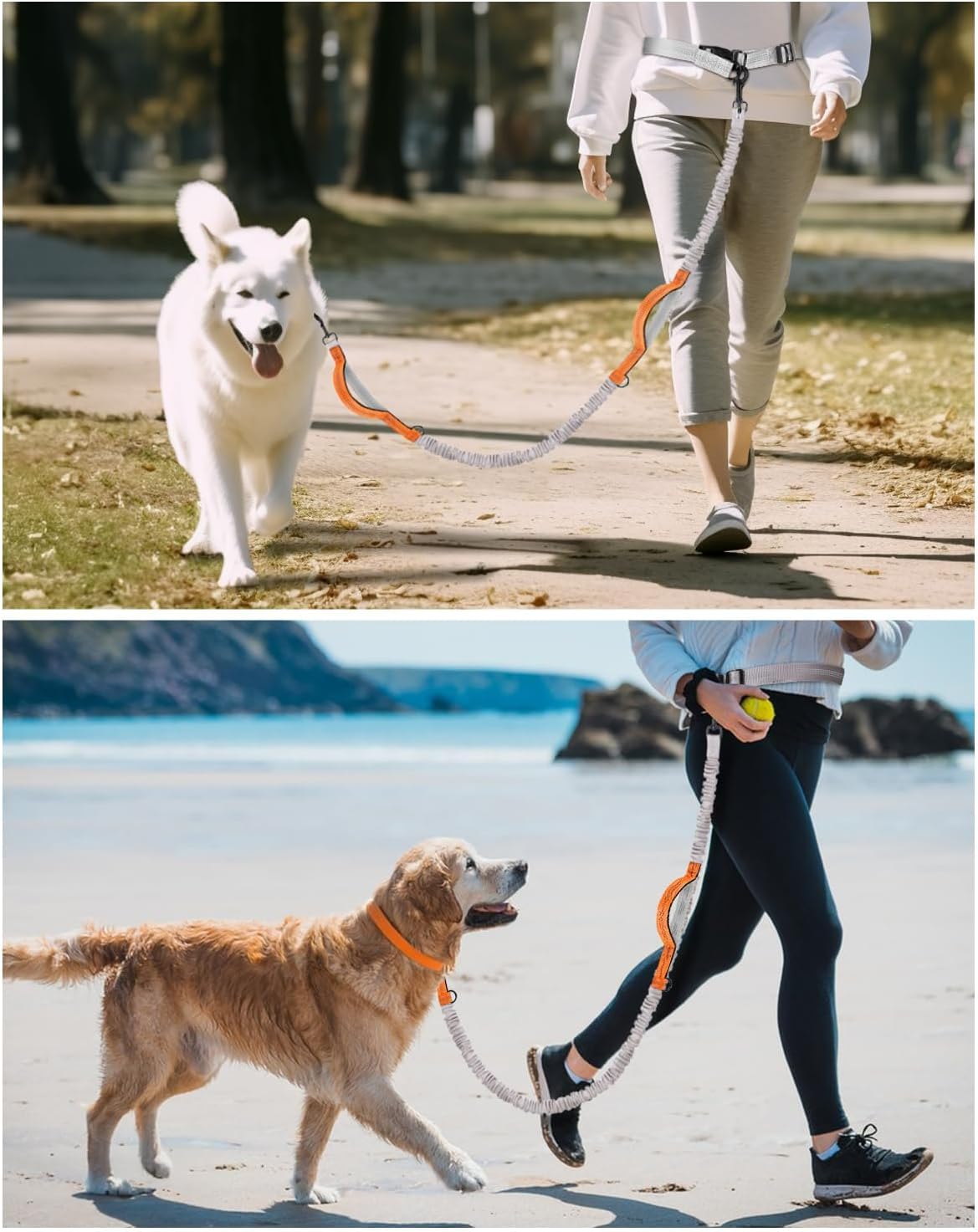 Thumbnail 6 de Hurluksi Hand Free Dog Waist Lead with Retractable Bungee ๐