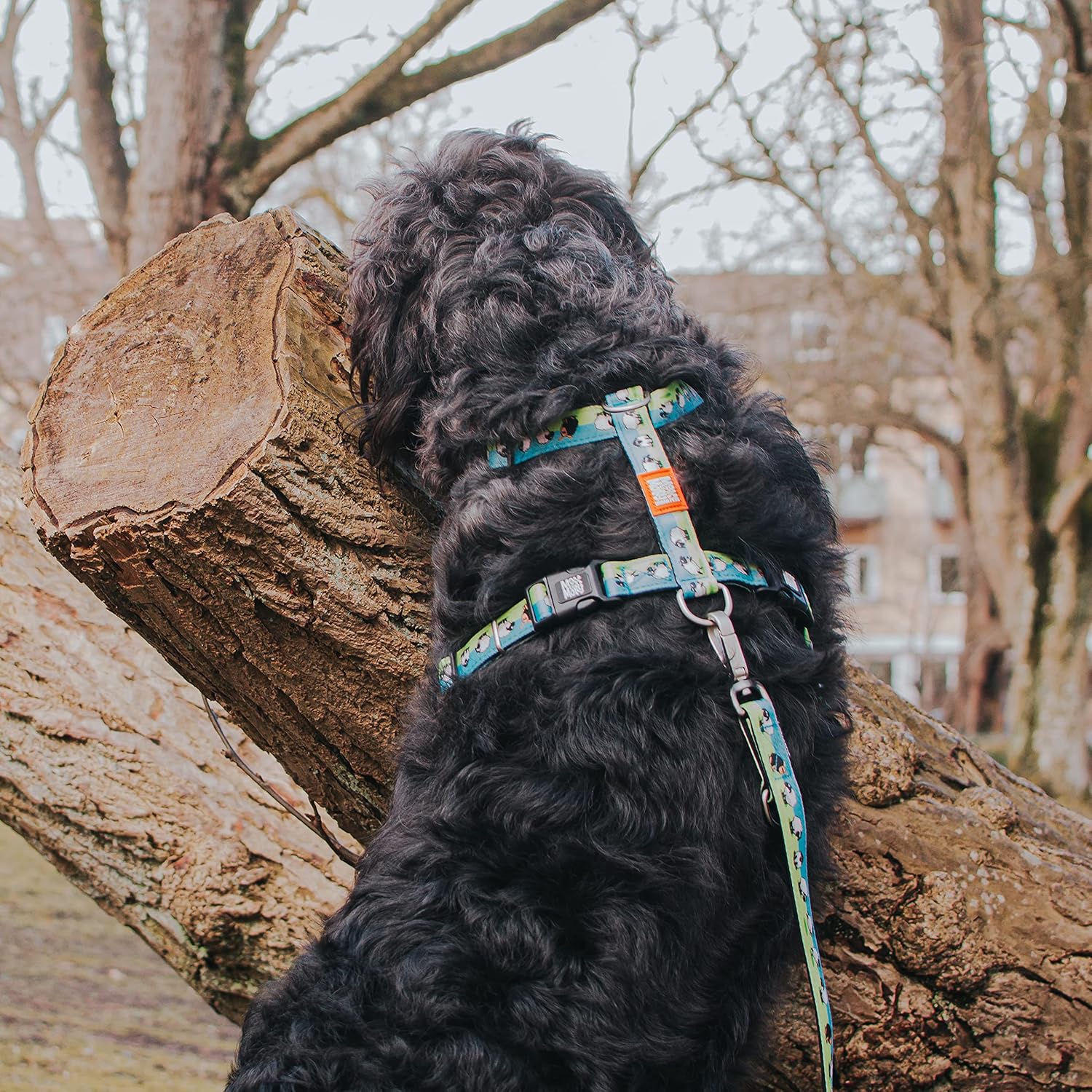 Thumbnail 5 de Max & Molly H-Geschirr „Black Sheep“ (M)