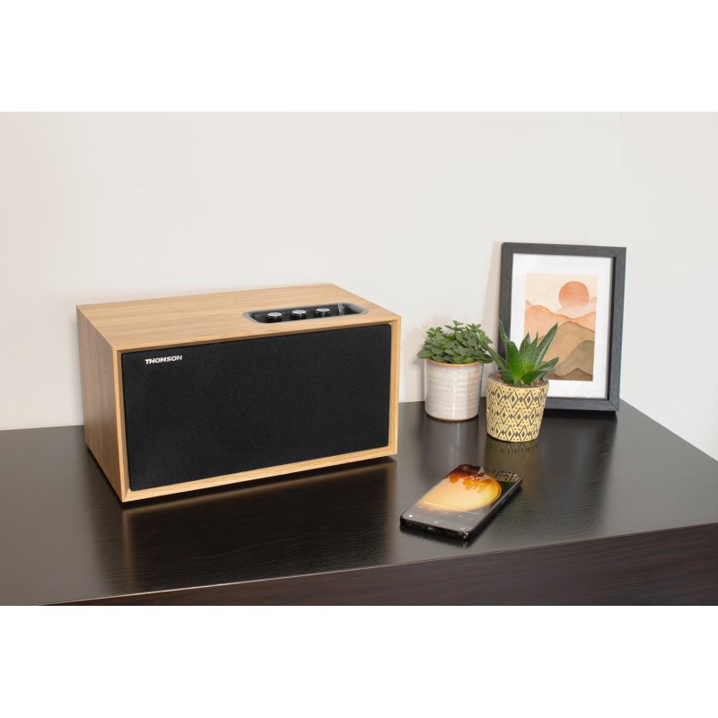 Detalle de Thomson WS502 Altavoz Bluetooth madera 100 W 🔊