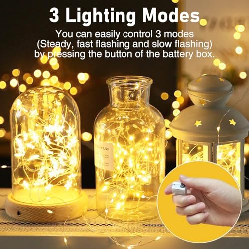 Detalle de btfarm LED-Lichterkette 12er Set – 2 m, 20 LEDs pro Strang, batteriebetrieben, 3 Modi, IP65