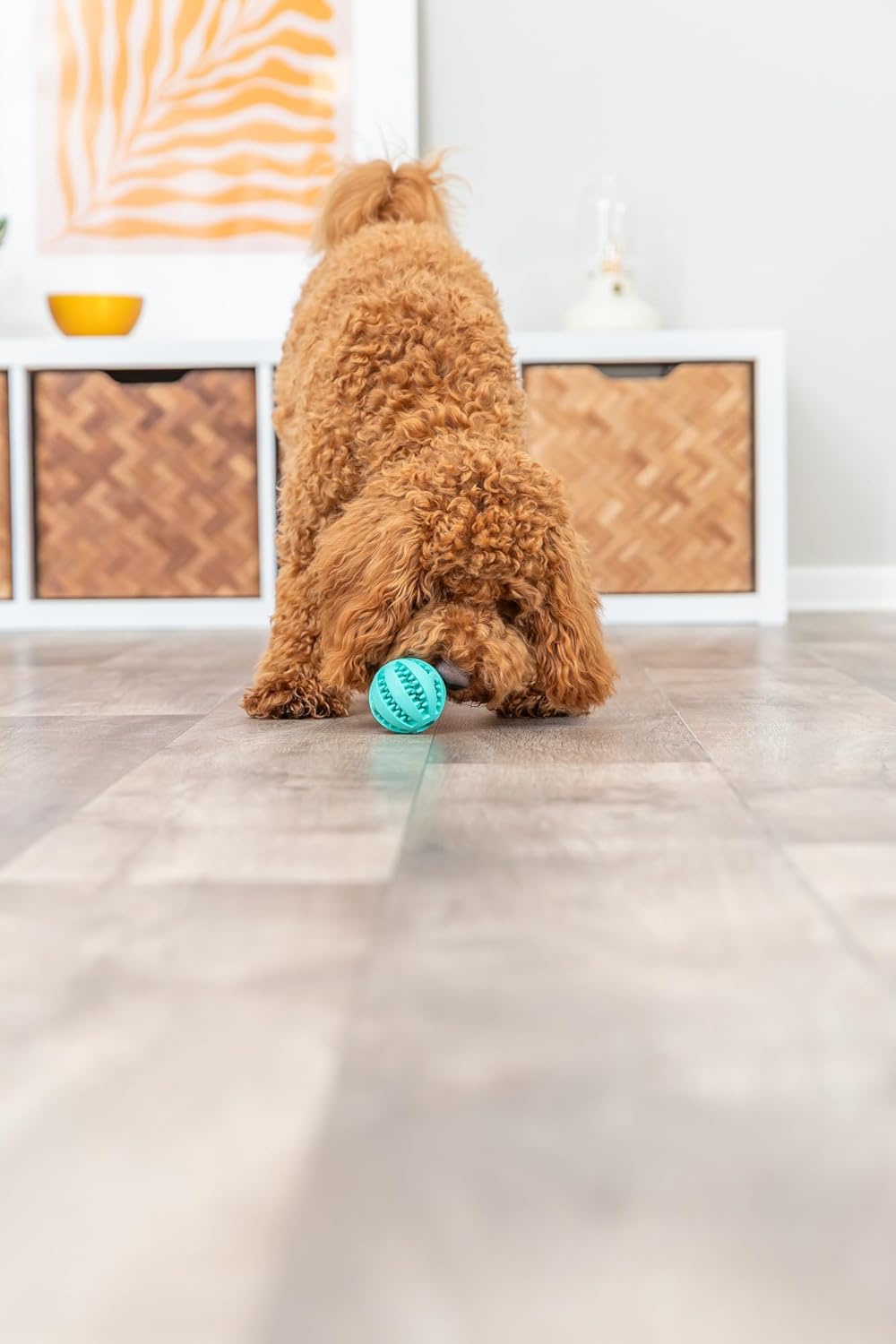 Thumbnail 1 de Trixie Mintfresh Baseball DentaFun en caoutchouc naturel pour chien – 6 cm