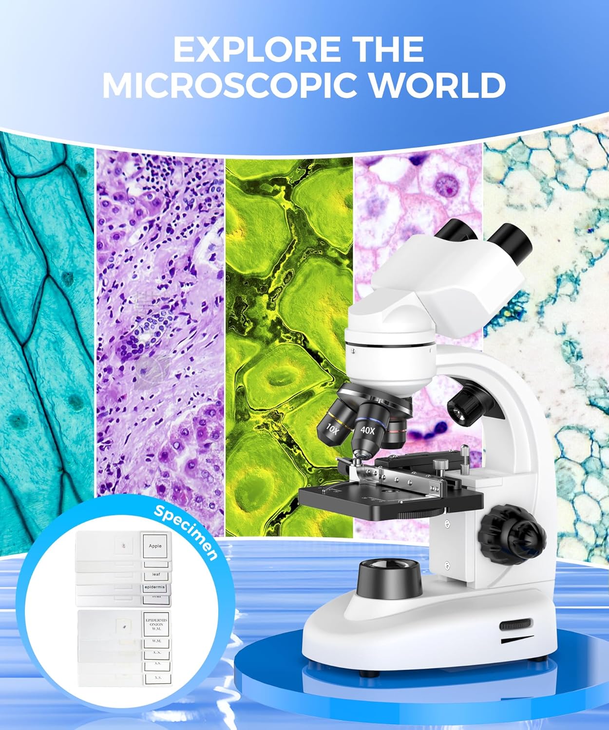 Thumbnail 2 de Compound Binocular Microscope 40X-2000X