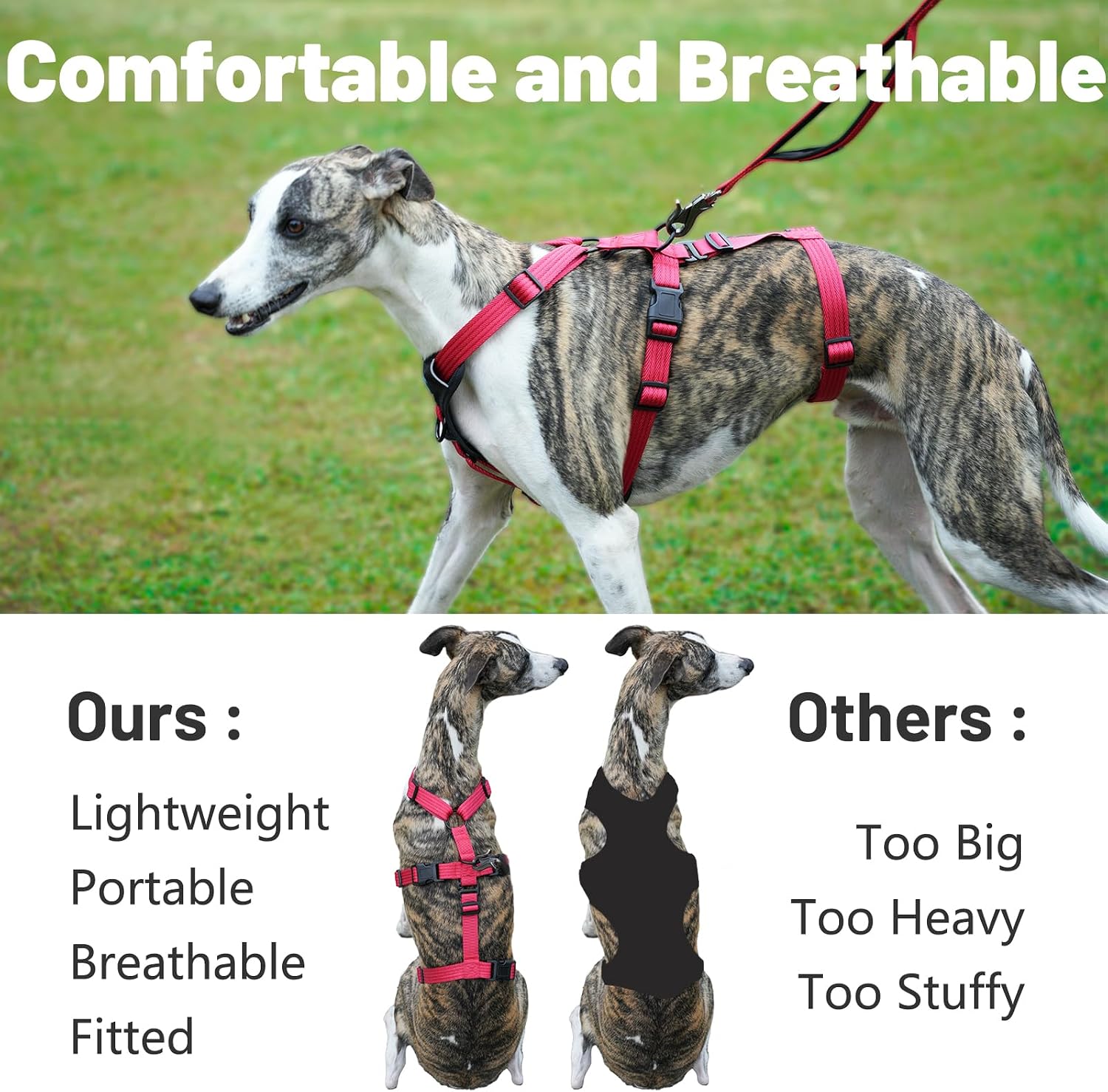 Detalle de Paworld Escape Proof Dog Harness (XL) – 3-Point Greyhound Harness with Front Clip for Whippet and Large Breeds