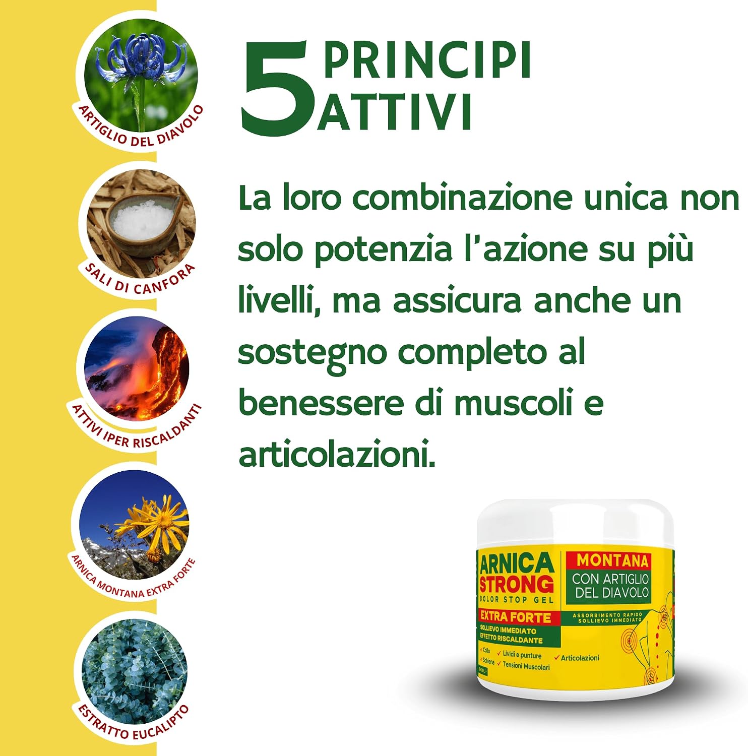 Thumbnail 2 de Arnica gel Forte ImmunoSTRONG: crema riscaldante per muscoli e articolazioni, uso umano