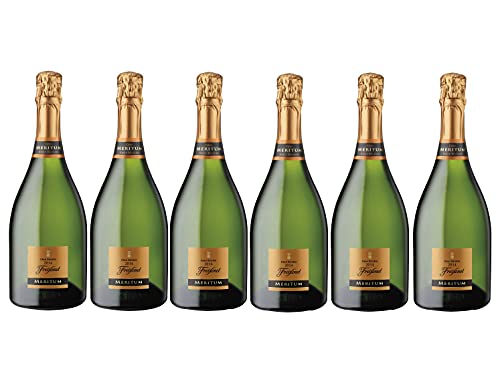 Detalle de Freixenet Meritum cava 6 botellas 4.500 ml 🍷