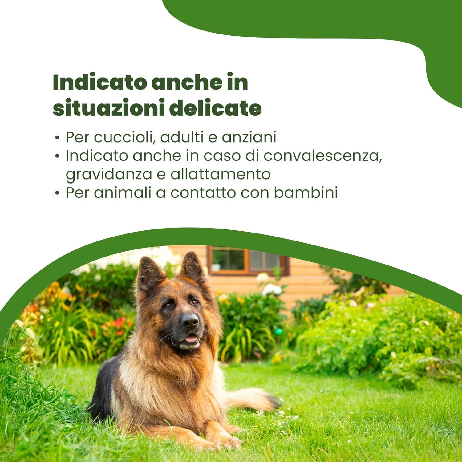 Thumbnail 5 de CAMON Spot-On Protection Cane (>11kg) – Fiale Neem, protezione naturale per cani oltre 11 kg