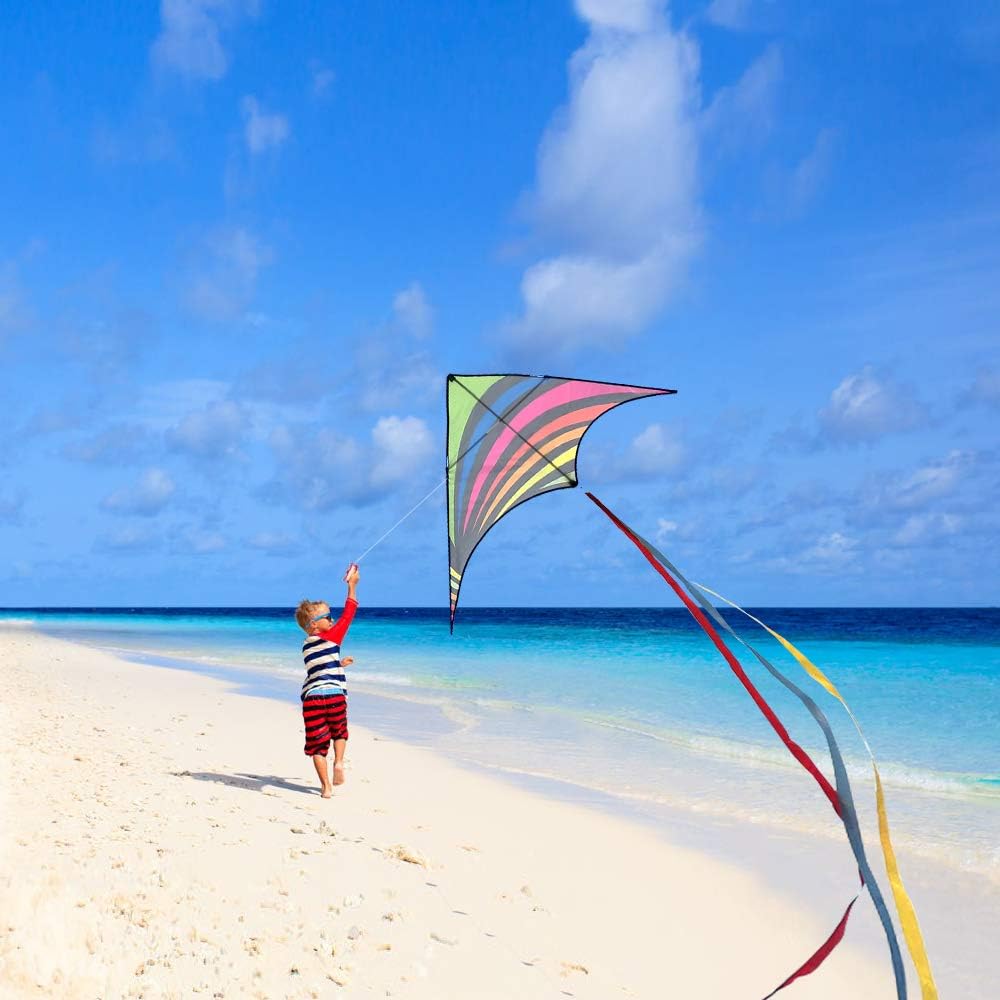 Detalle de Mint's Colorful Life Delta Kite — Easy-to-Fly Beach Kite for Kids & Adults