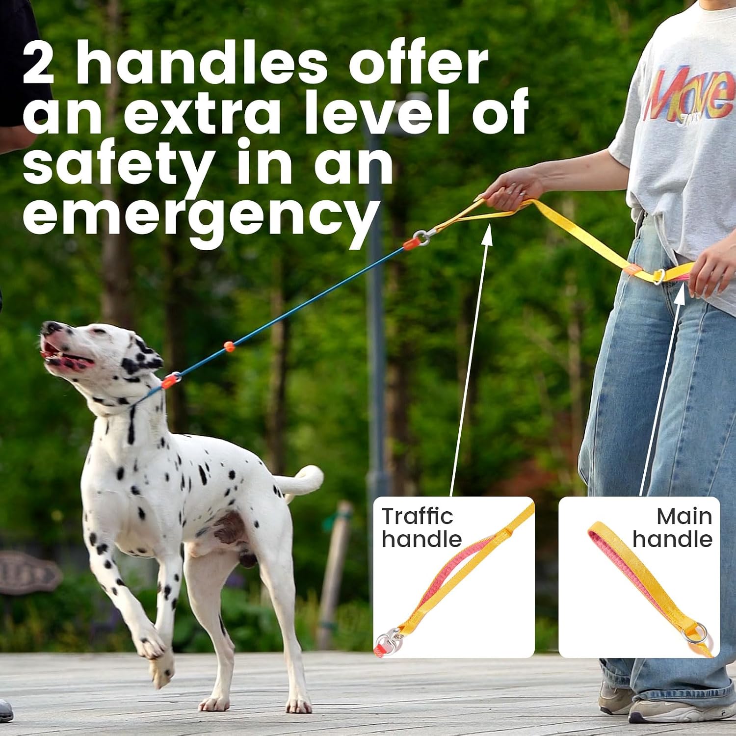 Detalle de Howgo Dog Slip Lead Leash (MintGreen) 5.5ft – Training, No-Pull Slip Lead and Collar