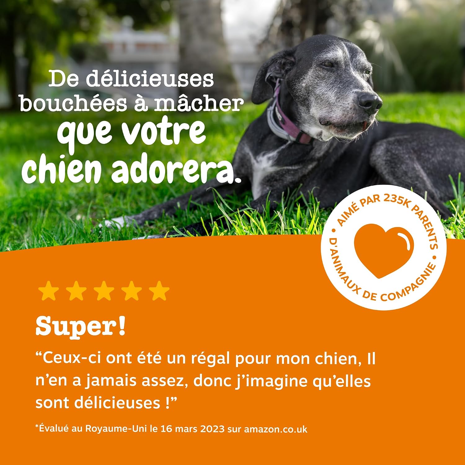 Thumbnail 6 de Zesty Paws Hip & Joint Mobilité – Friandise cœur pour chiens, glucosamine et chondroïtine – Ovopet et moule verte de Nouvelle-Zélande – 90 unités