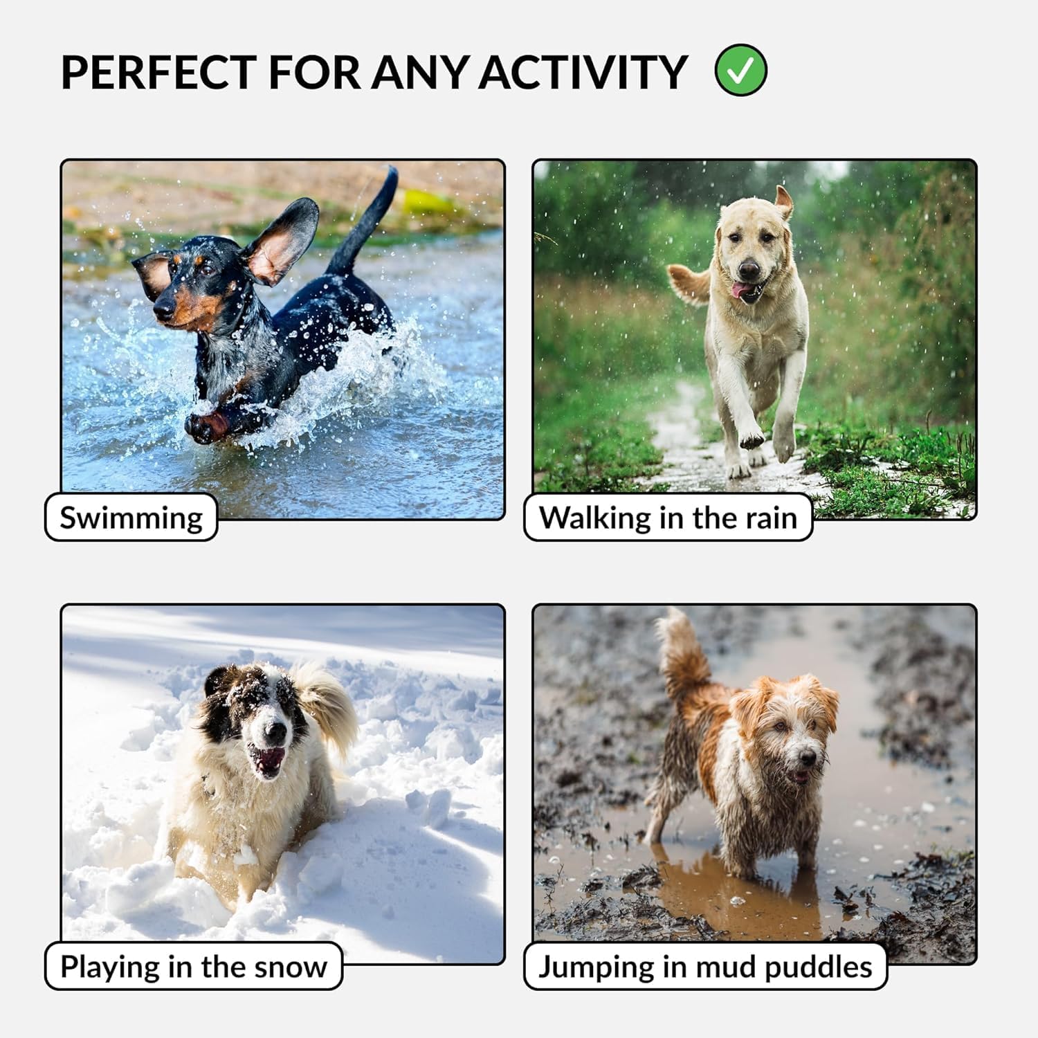 Detalle de CollarDirect Wasserdichtes Hundehalsband – Verstellbar, robust & pflegeleicht