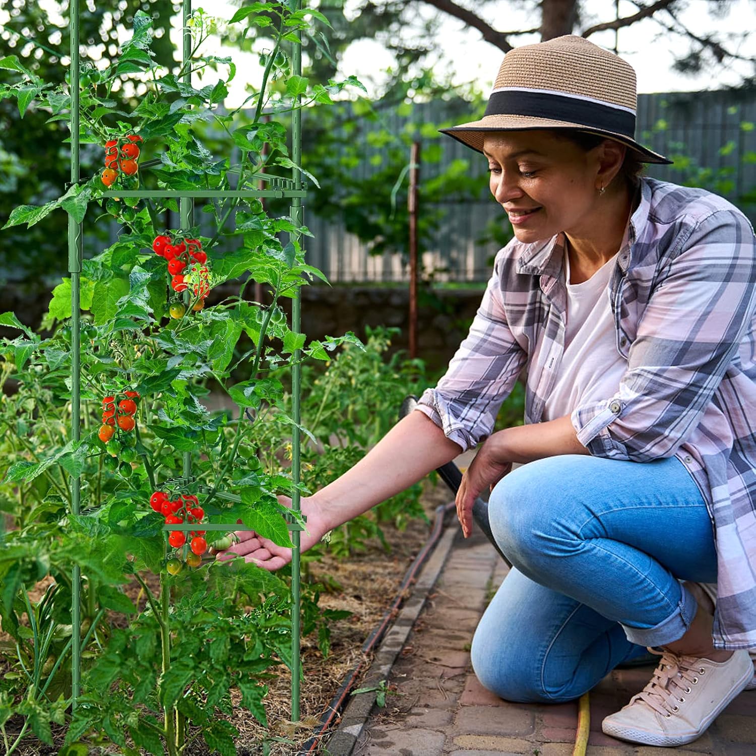 Thumbnail 5 de SUNYRISY Tomaten Rankhilfe im Set – einstellbare Pflanzenhalter (6er Set) mit Kletternetz, ca. 120 cm Höhe, grün