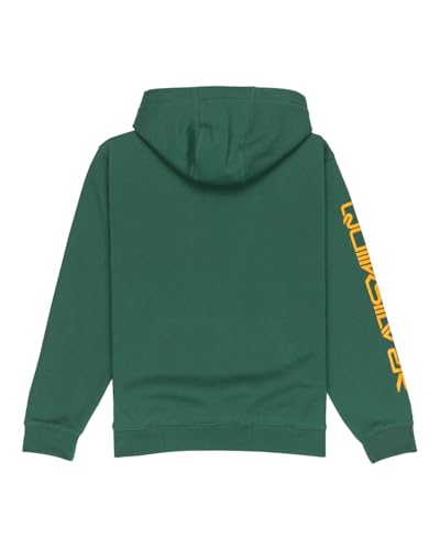 Detalle de Quiksilver Omni sudadera forro polar con capucha 8