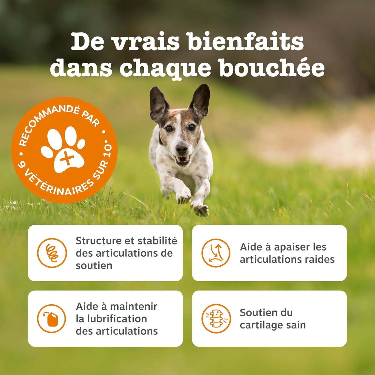 Detalle de Zesty Paws Hip & Joint Mobilité – Friandise cœur pour chiens, glucosamine et chondroïtine – Ovopet et moule verte de Nouvelle-Zélande – 90 unités