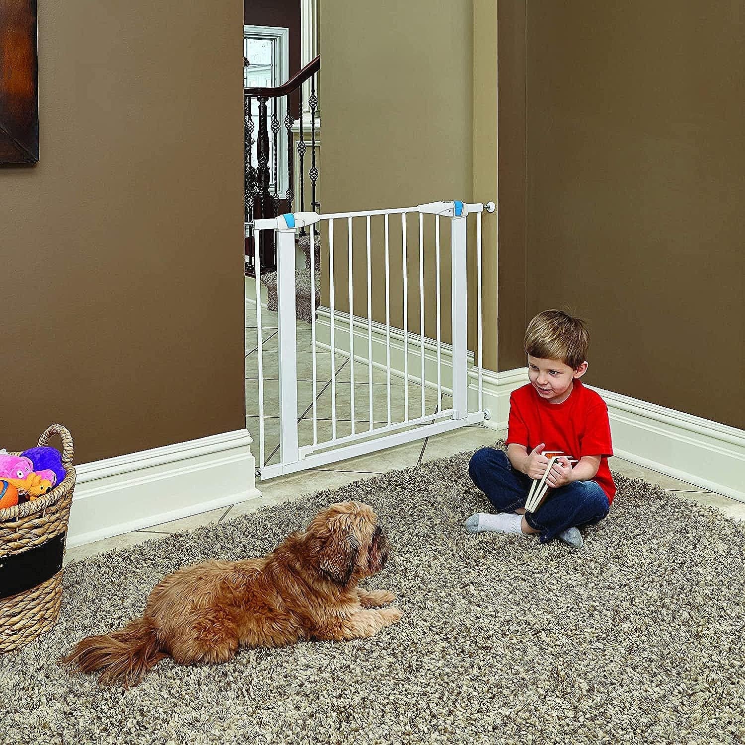 Thumbnail 6 de MidWest Homes for Pets 96,52 cm puerta con tira fosforescente