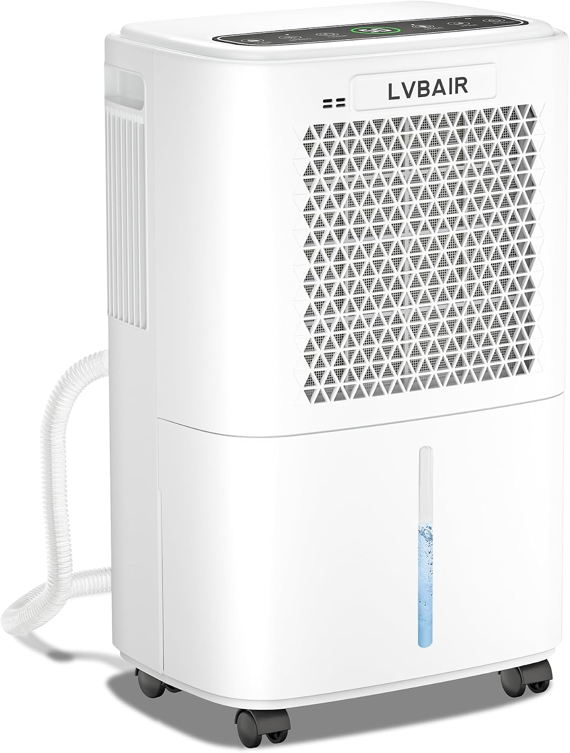 Detalle de 12L/day dehumidifier with timer