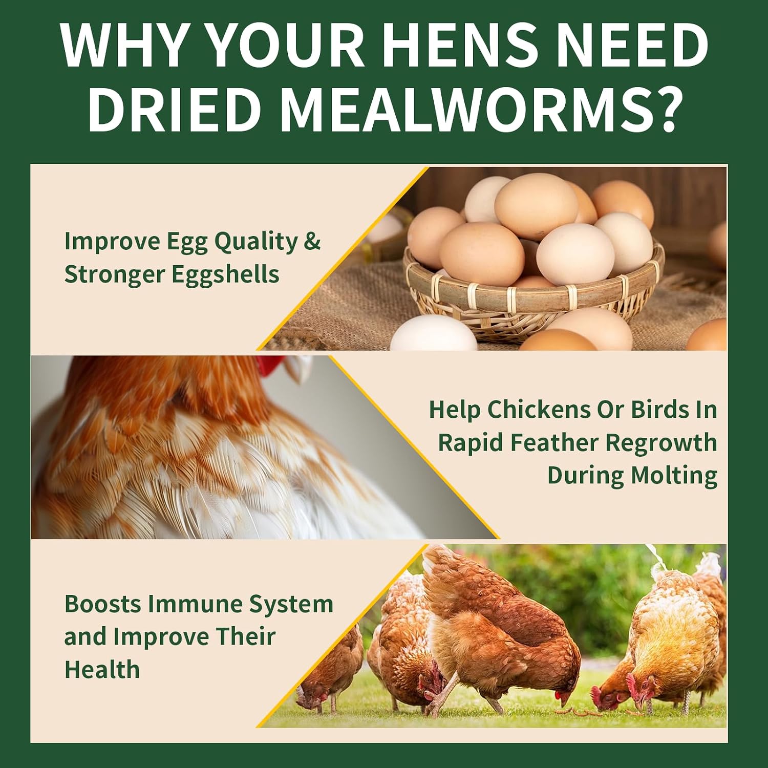Detalle de BUNTIE WORMS Dried Mealworms, 10 lb