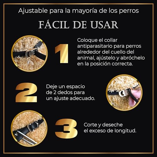 Detalle de Life Innovation Pack 4 Collares antiparasitarios para perros – 24 meses de protección natural
