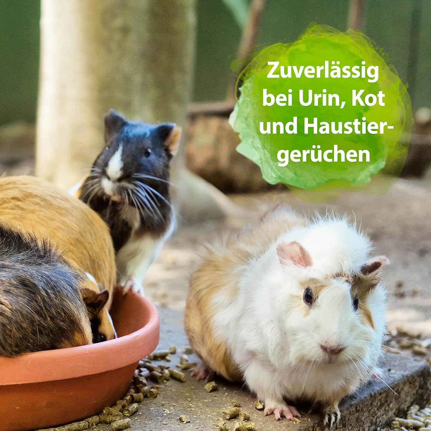 Detalle 2 de Bactador Enzymreiniger Nagerkäfig Spray 500ml – Geruchsentferner & Reiniger für Urin, Kot und Tiergerüche