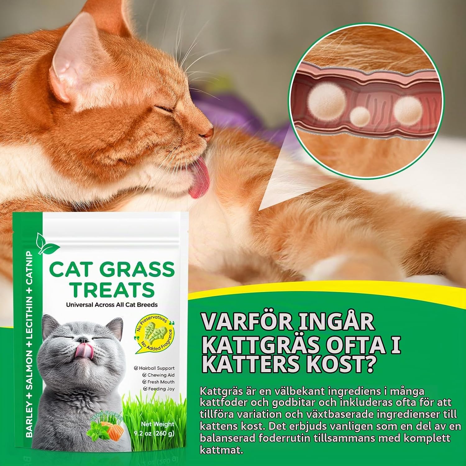 Thumbnail 6 de RlfJynxious Kattgräs Snack 260 g – kattgodis i pinnar med lax och kattmynta