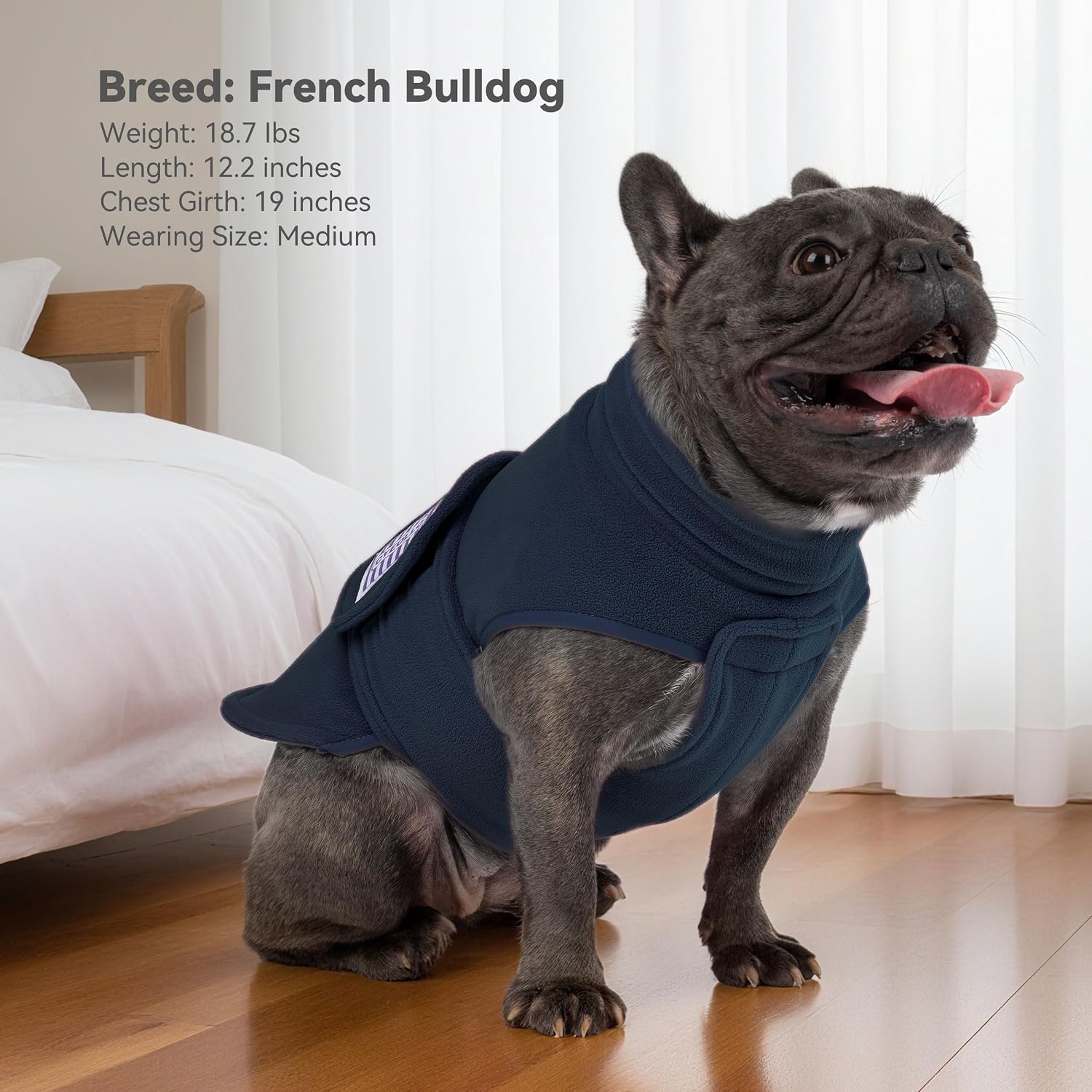 Thumbnail 6 de Cyeollo Dog Fleece Sweater 2XL