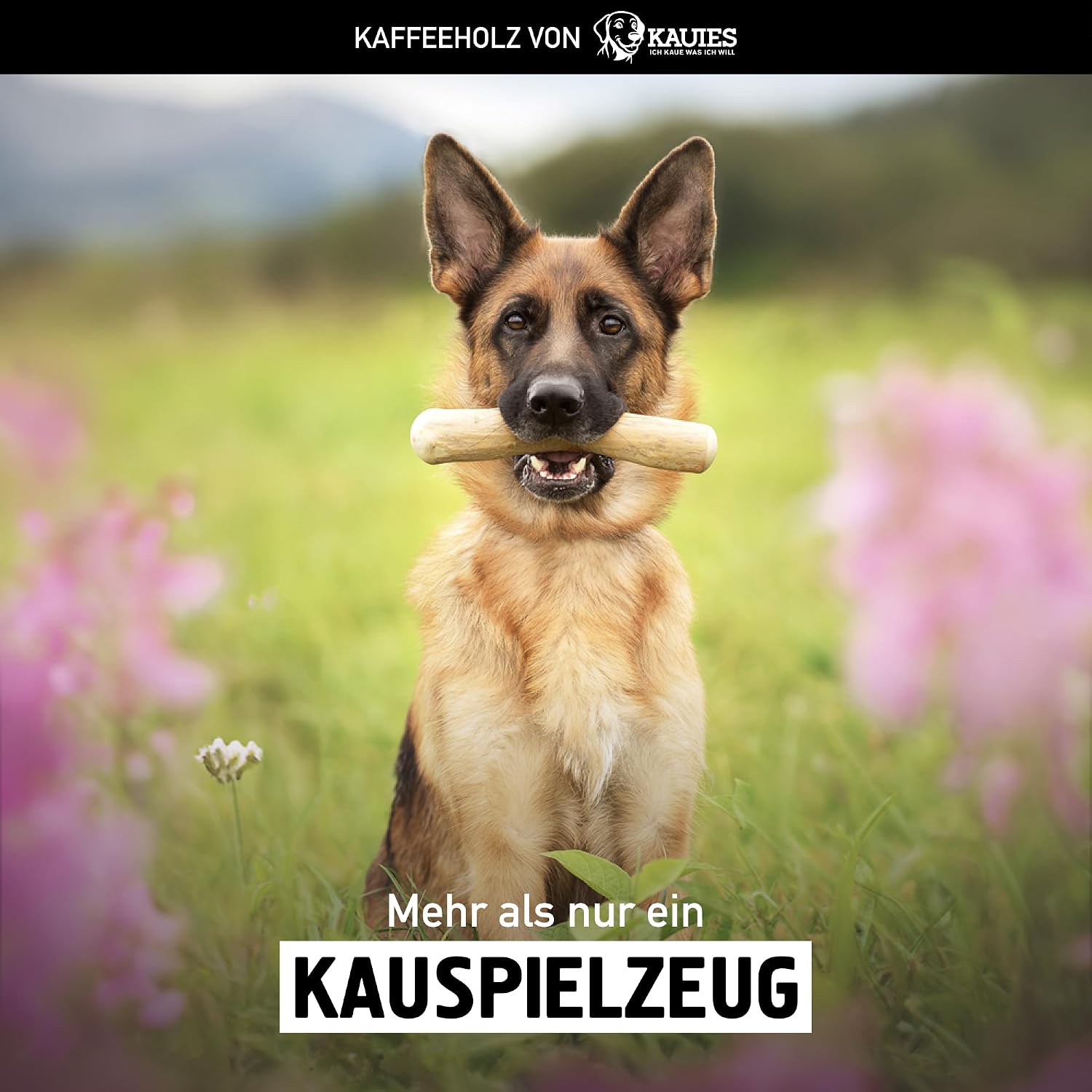 Detalle 2 de Kauies Kaffeeholz für Hunde – natürliches, veganes Kauholz (koffeinfrei & kalorienfrei), 2er Pack Größe L ab 20 kg