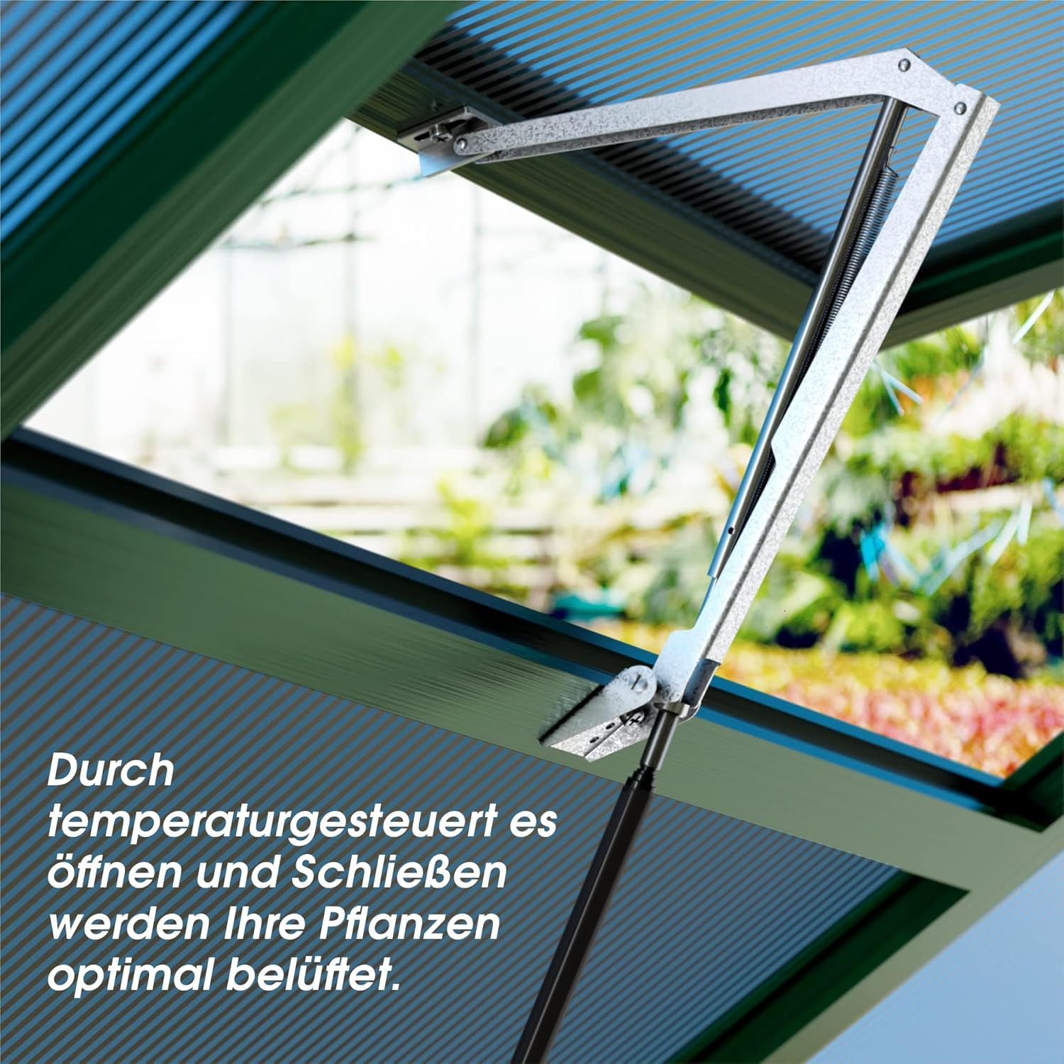 Detalle 2 de SANAWATEC automatischer Fensteröffner für Gewächshaus – temperaturgesteuert (Hubkraft 7 kg, Hubhöhe 40 cm)