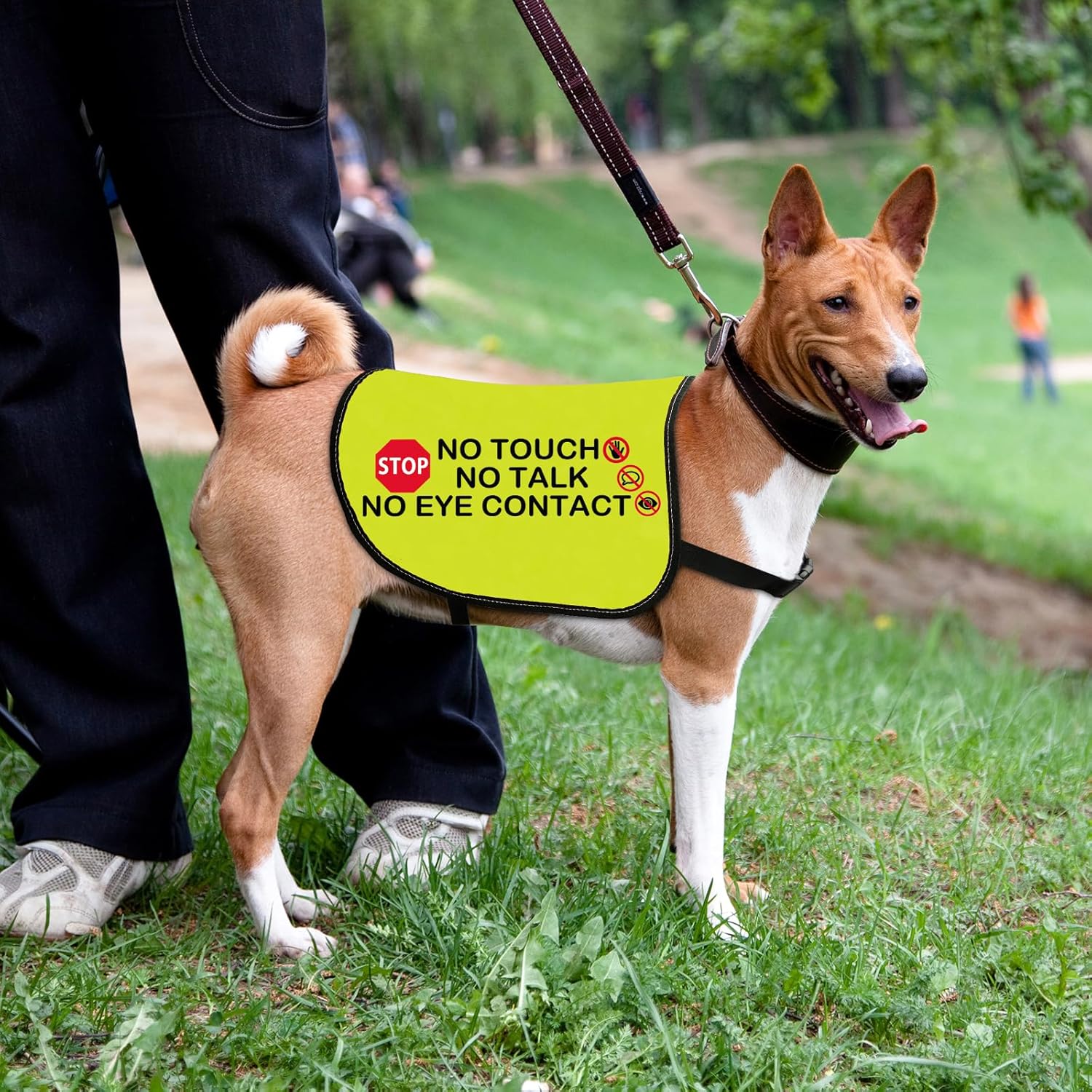 Detalle de No Eye Contact Dog Jacket Vest Medium
