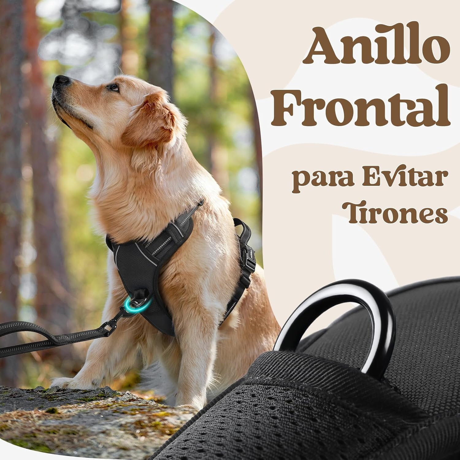 Thumbnail 5 de rabbitgoo Arnés Perro Mediano 3 Hebillas L