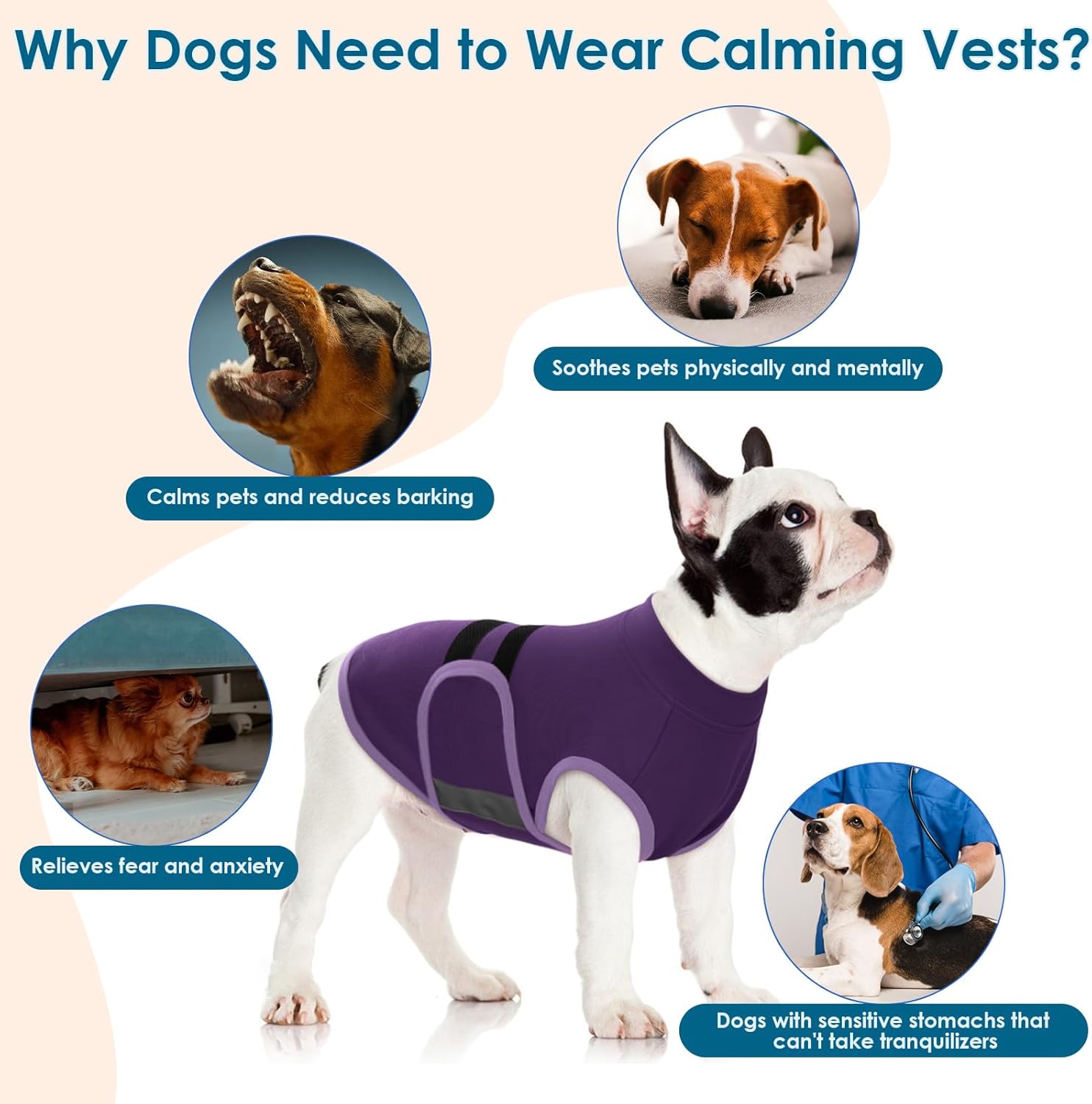 Detalle de Katzinst Dog Stress and Anxiety Relief Vest, Lightweight & Reflective (Purple, Size L) for Large Dogs