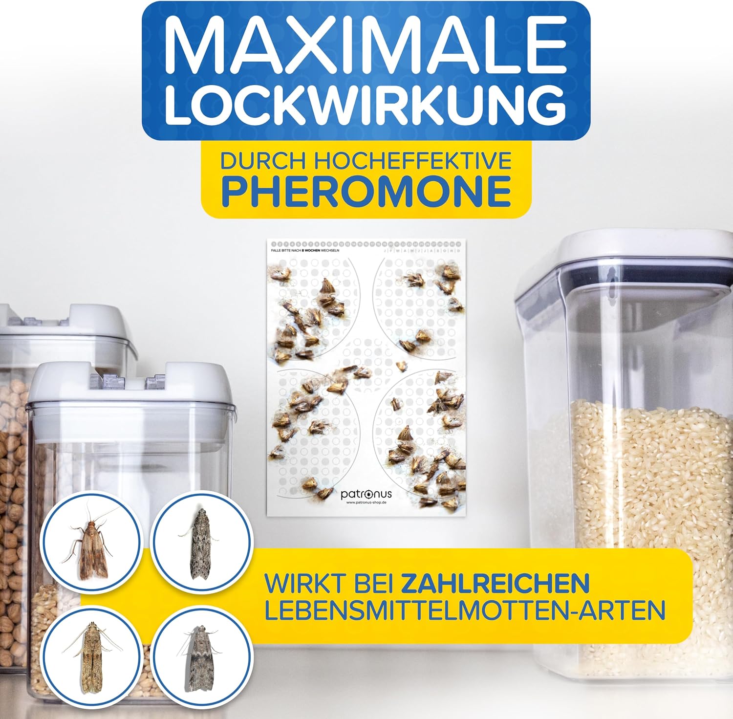 Thumbnail 2 de Lebensmittelmotten-Falle [12 Stück] – effektive Pheromonfalle zur Befallsermittlung, geruchlos und giftfrei