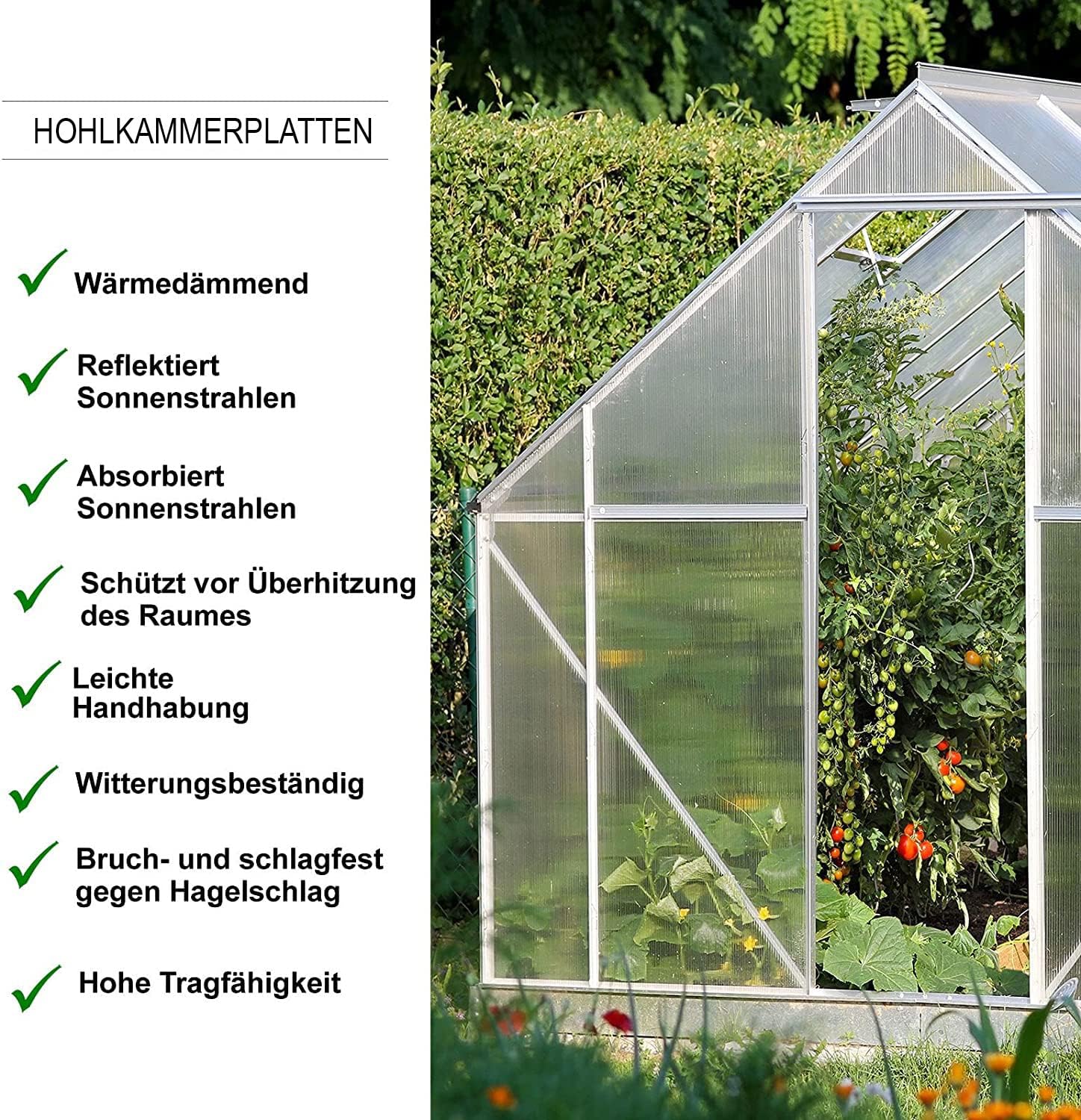 Detalle de KARAT 10,25 m² Transparent 4 mm – Gewächshaus Stegplatten aus Polycarbonat, 14 Stück (60,5 x 121 cm)
