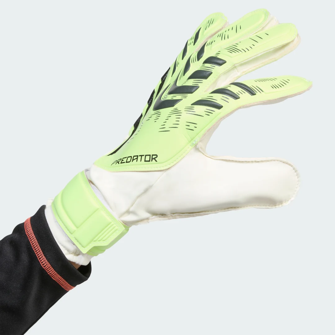 Thumbnail 3 de Guantes de portero Predator Training – Adidas