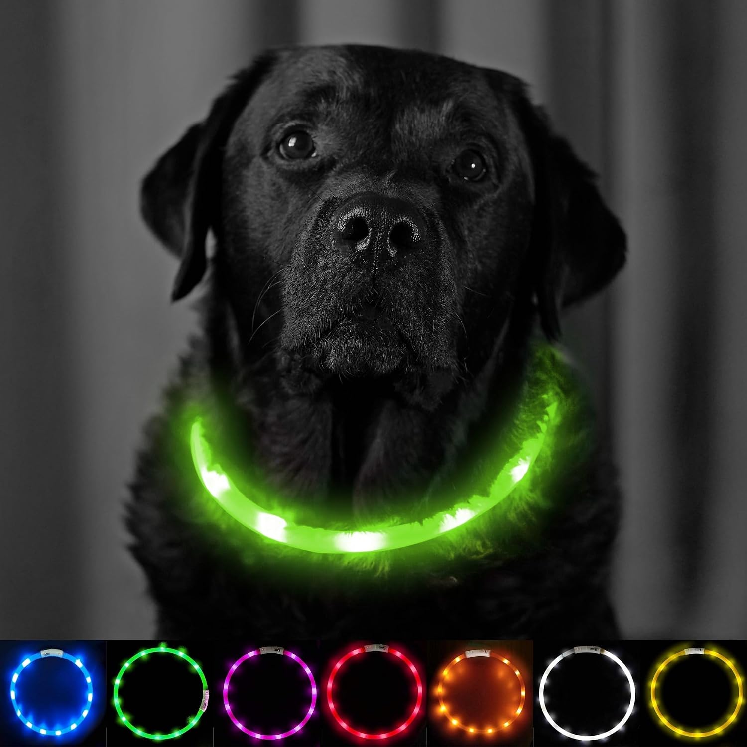 Thumbnail 6 de PetSol LED Dog Collar 3‑Mode USB Rechargeable