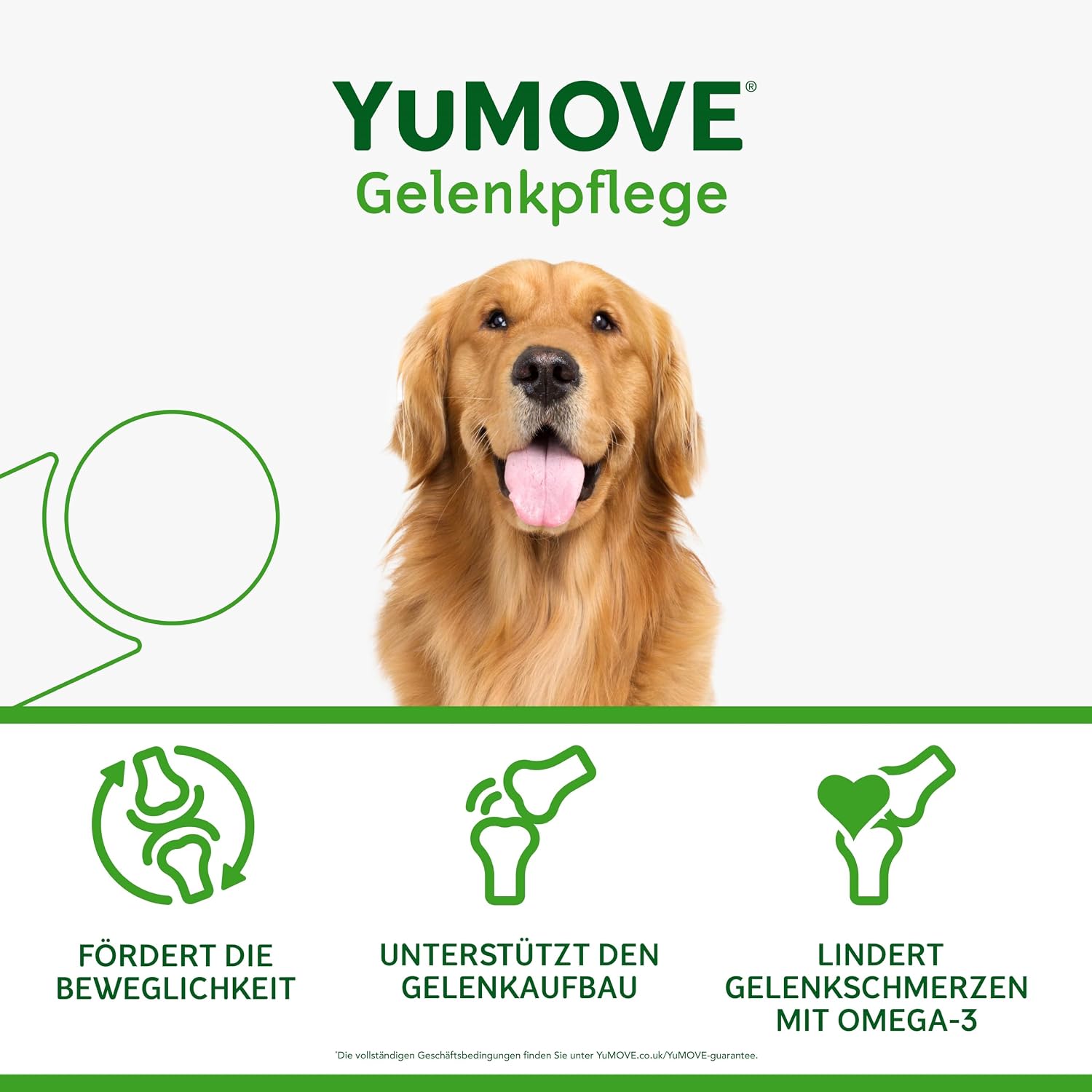 Thumbnail 3 de YuMOVE Gelenktabletten für Hunde 5–8 Jahre (60 Tabletten, 150 mg) mit Grünlippmuschel