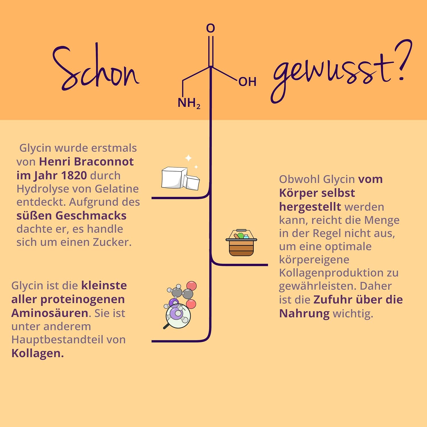 Thumbnail 4 de Vegavero Glycin Pulver (1.000 g) mit Messlöffel – reines Glycin ohne Zusätze, fein löslich