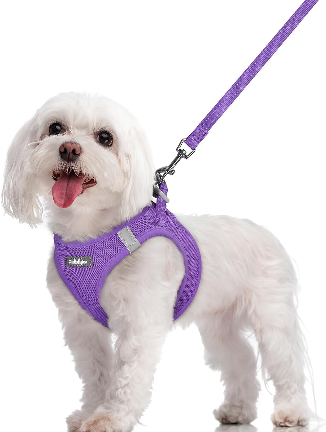 Detalle de rabbitgoo Dog Harness M Set