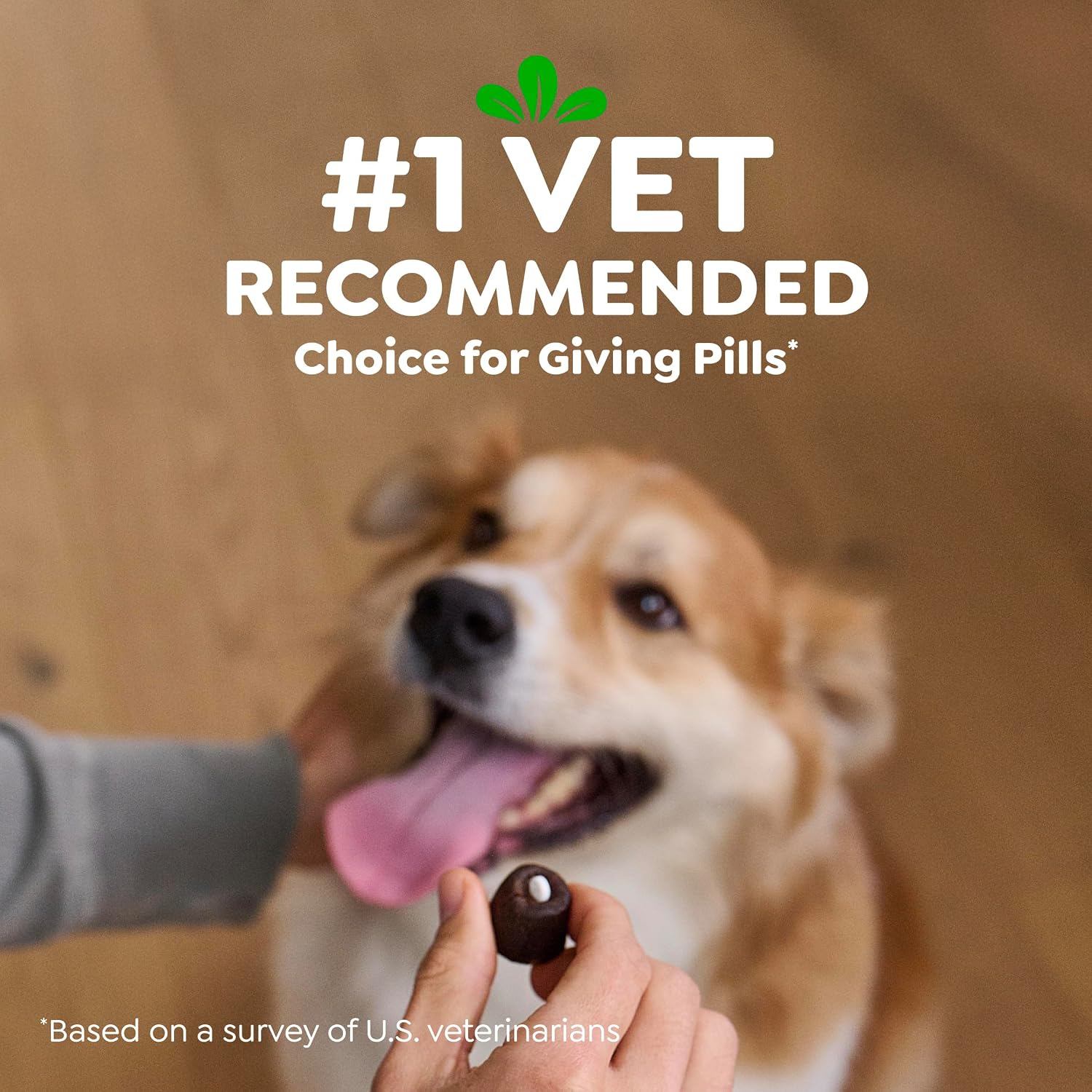 Thumbnail 6 de Greenies Pill Pockets Large Size Dog Treats, Peanut Butter