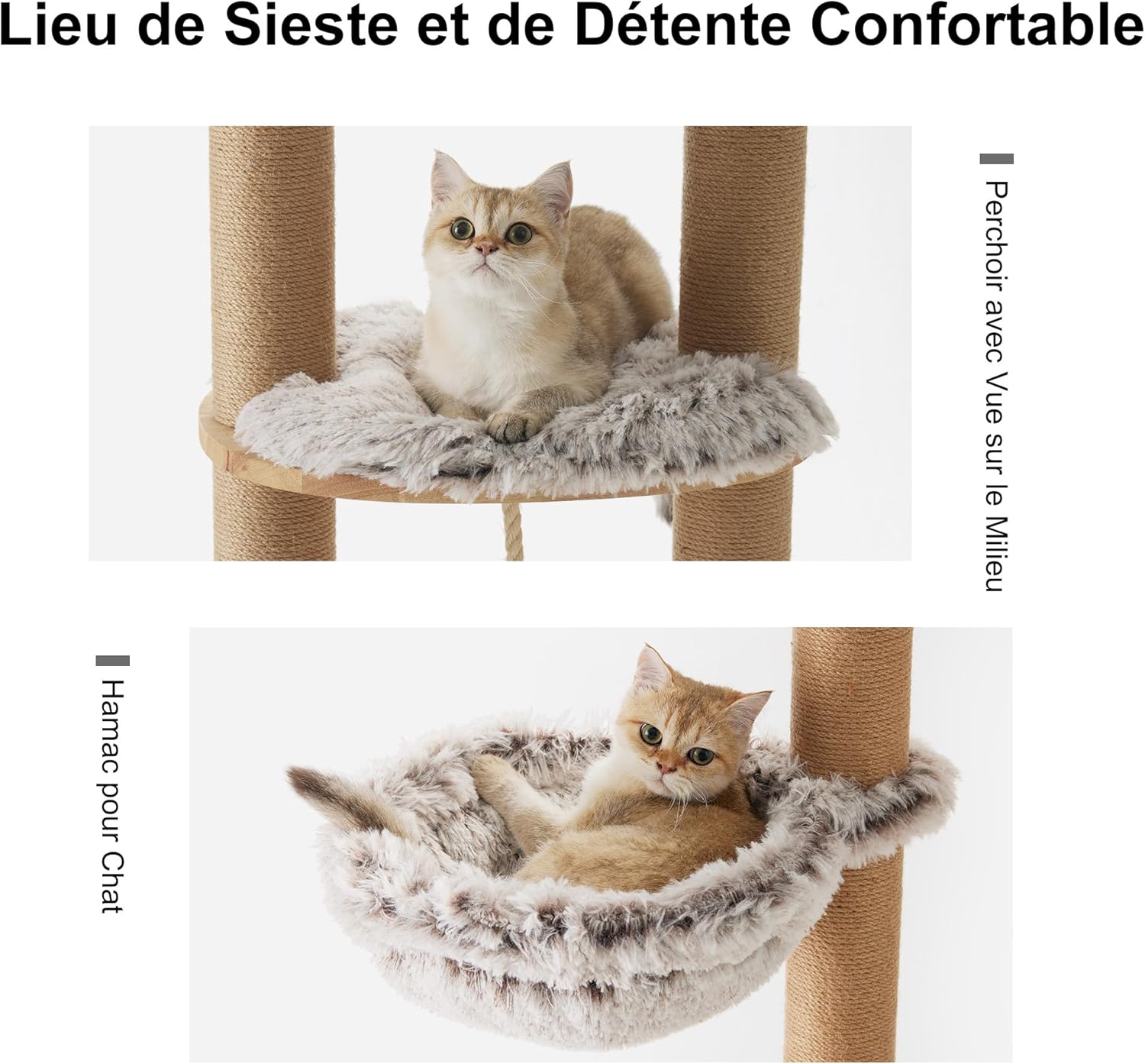 Thumbnail 2 de FUKUMARU Arbre à chat mural de 188 cm en bois de caoutchouc massif, multi-niveaux avec griffoir et panier suspendu