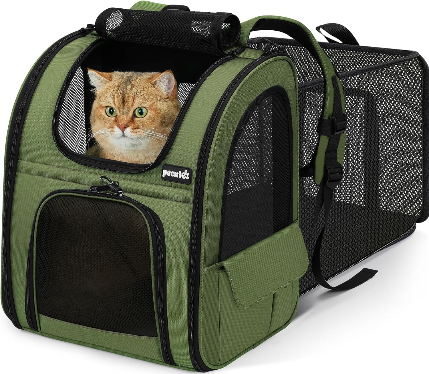 Detalle de Pecute Haustier Expansions Rucksack für Hund & Katze (erweiterbar, Front Opening, Mesh-Fenster) – dunkelgrün
