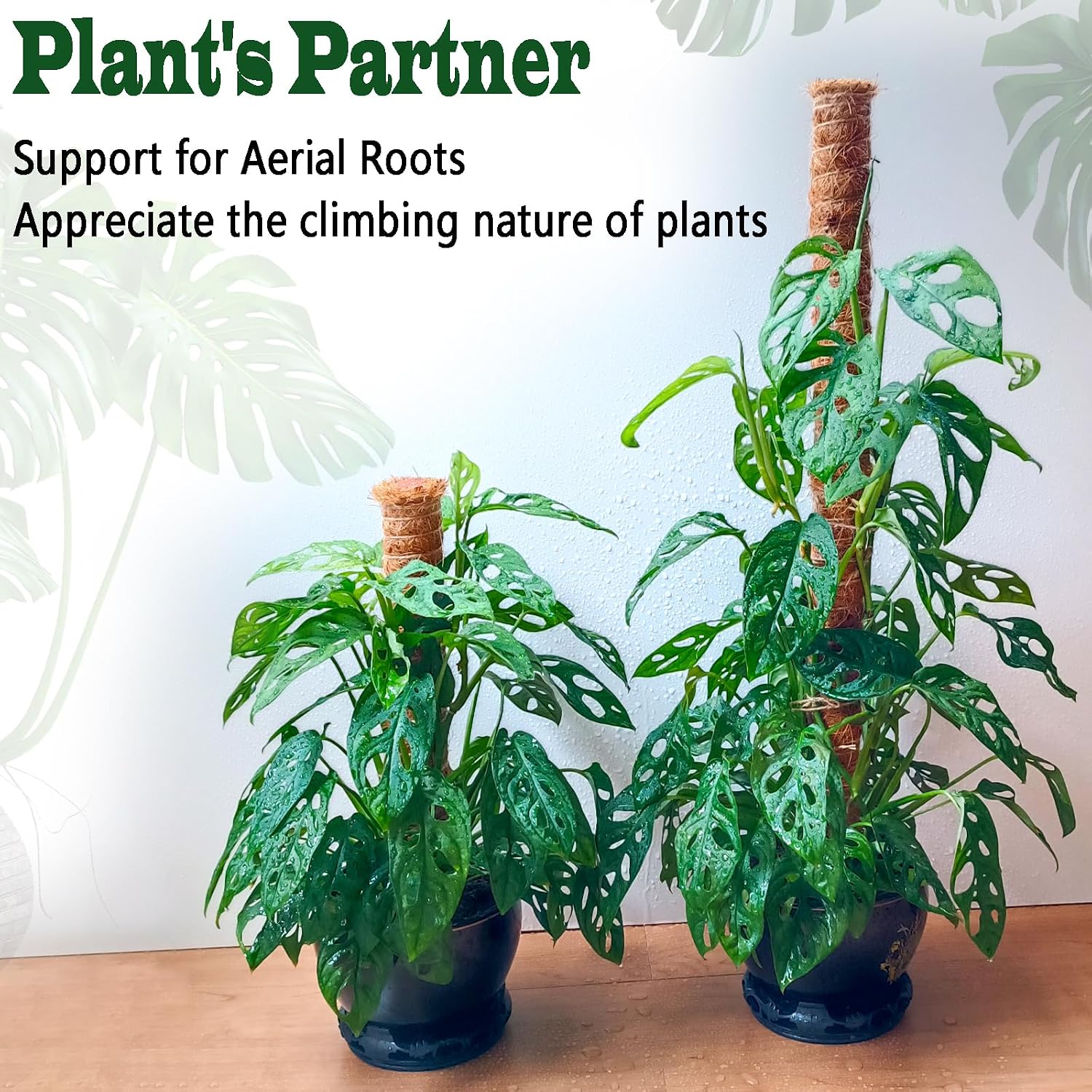 Thumbnail 6 de CHIAFFI Moss Pole 4-Pack, 22-Inch Stackable Coir Plant Supports