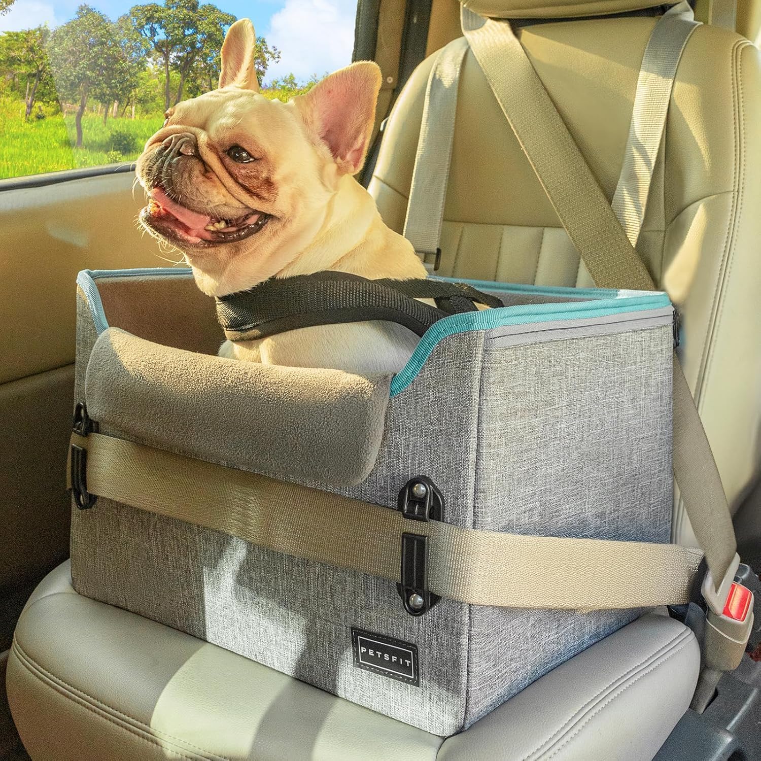 Detalle de Petsfit Hunde Autositz für kleine Hunde (41×33×28 cm) – stabiler Rücksitz mit Sicherheitsgurt-Halteclip und waschbaren Plüschkissen