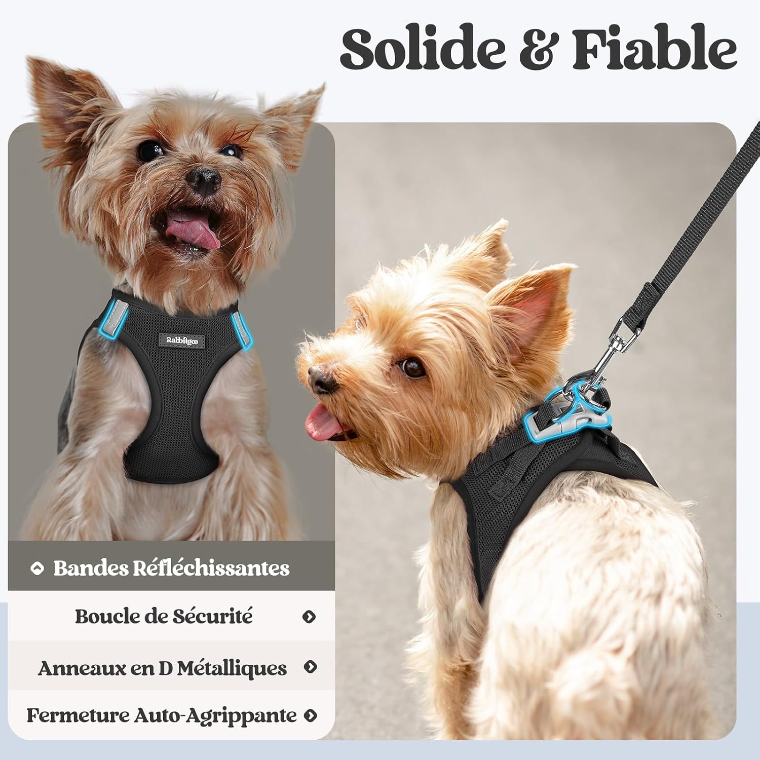 Detalle de Rabbitgoo Harnais Chien Petite Taille avec Laisse Réfléchissante – Harnais chiot en maille souple et laisse de 156 cm